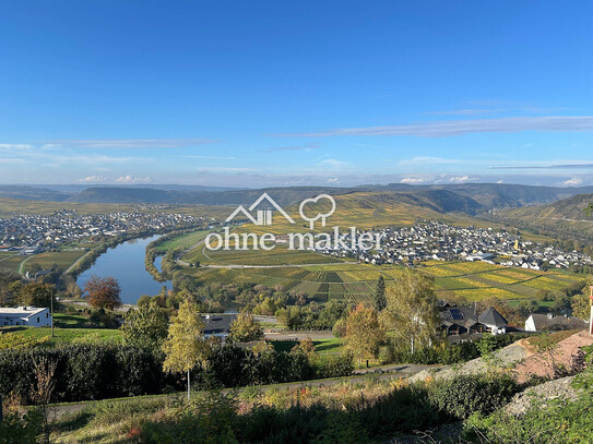 Grundstück mit unverbaubarem Moselblick